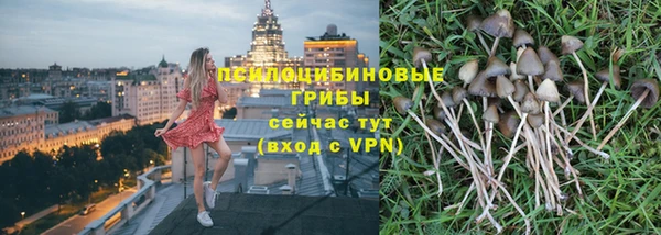 меф Алексин