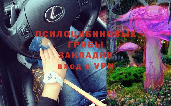 бошки Алзамай