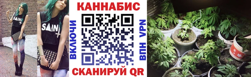 Конопля SATIVA & INDICA  где продают   Мамоново 